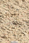 231013A-111440-01436