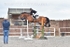 BPP_5936