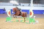 SBM_001941