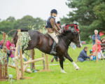 Dunblane show-380