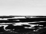 Saltmarsh Silhouettes - Brancaster Staithe