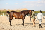 SBM_08588