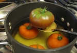 Tomato Sauce-14