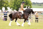 SBM_06185