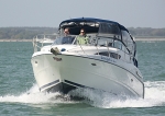 090502 JOSEPHINE IMG_7271