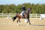 SBM_002808