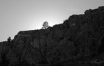 Lone Tree Awaits Sunset