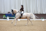 SBM_011831
