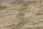 Langdale-10