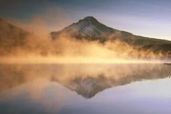 Oregon State portfolio