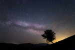 Milky Way Tree