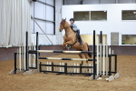 SBM_002175