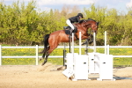 SBM_002446