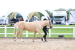 SBM_04436