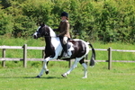 3E7A8689