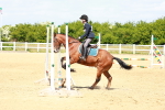 SBM_007789