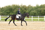 SBM_000190