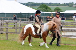 SBM_08091