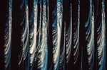 Gaps in the trees