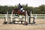 SBM_04437