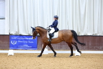 SBM_002095