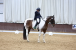 SBM_003294