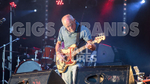PETE FRAMPTON & FRIENDS portfolio