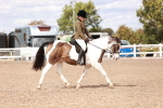 SBM_14378