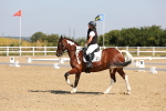 SBM_003411