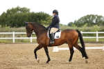 SBM_005054
