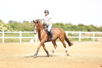 SBM_004496