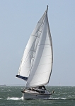 091025 HALCEYONE IMG_4288