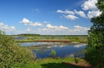 Biebrza, Poland