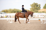 SBM_06773