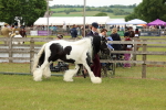 SBM_06272