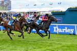 150526-Race 7-Portcullis-8752