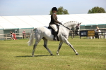 SBM_12926