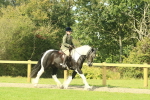 SBM_67468