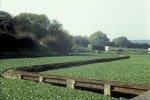 May 1993