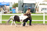 SBM_10285
