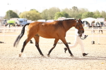 SBM_10463