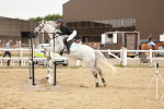 SBM_008917
