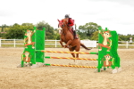 SBM_001919