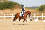 SBM_017631
