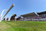 130826-Race 4-Shazani-5139
