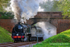 Steaming Through