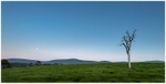 The Summer Moonrise, Co Wicklow