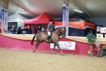 SBM_09883