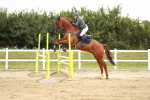 SBM_006196