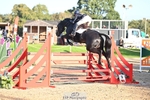 Rider 230 to 239 portfolio